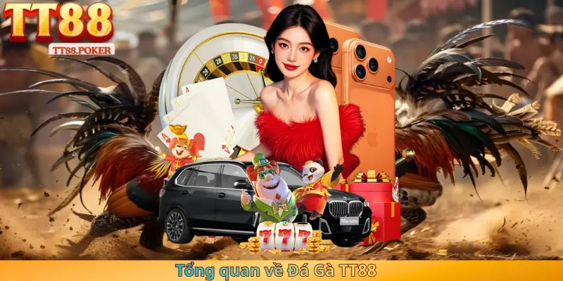 Tổng quan về Đá Gà TT88