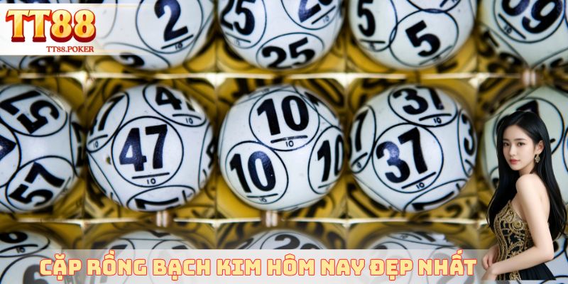 Cặp rồng bạch kim hôm nay đẹp nhất