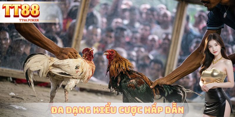 Đa dạng kiểu cược hấp dẫn