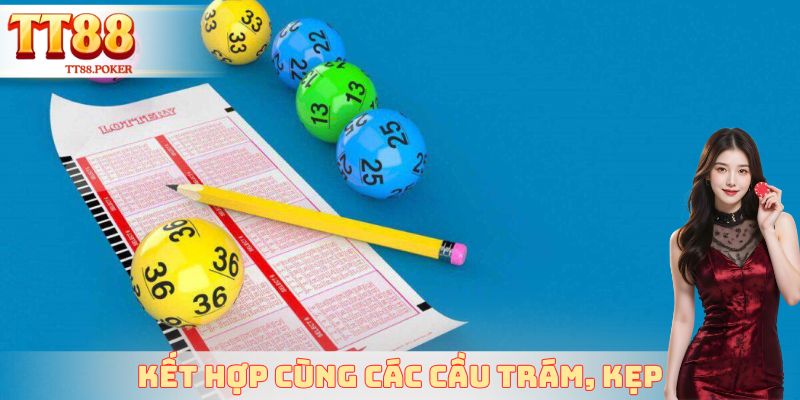 Kết hợp cùng các cầu trám, kẹp