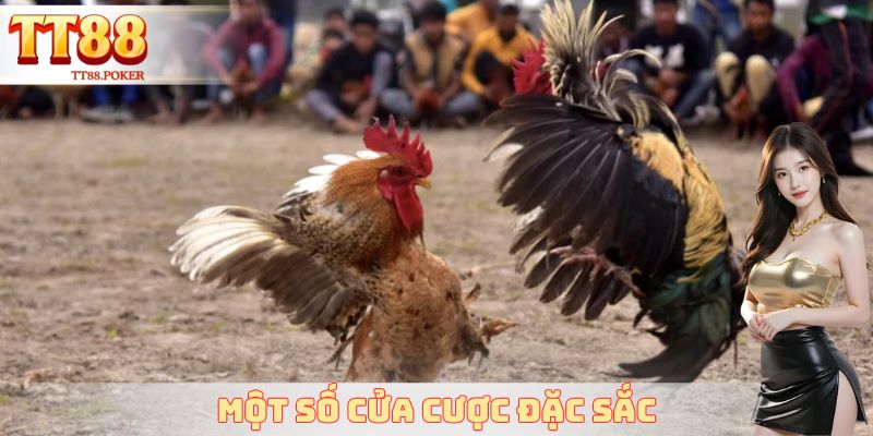 Một số cửa cược đặc sắc
