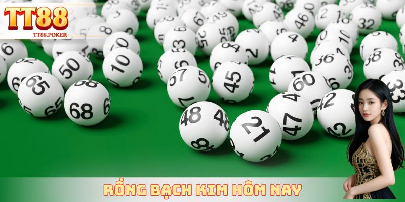 Rồng Bạch Kim Hôm Nay