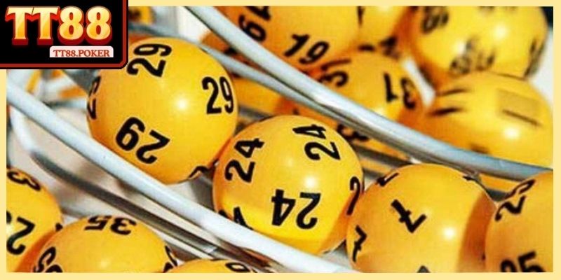 Các đặc điểm nổi bật thường trở thành cơ sở cho nhiều nhận định