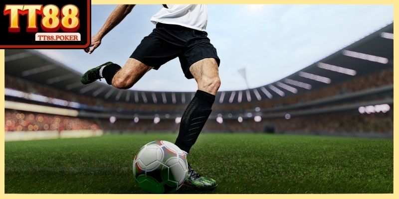 Nhận diện sai sót thường gặp giúp nâng cao chất lượng lựa chọn