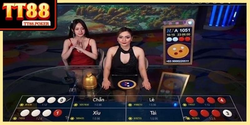 Không khí sôi động giúp mỗi phiên giải trí trở nên hấp dẫn hơn